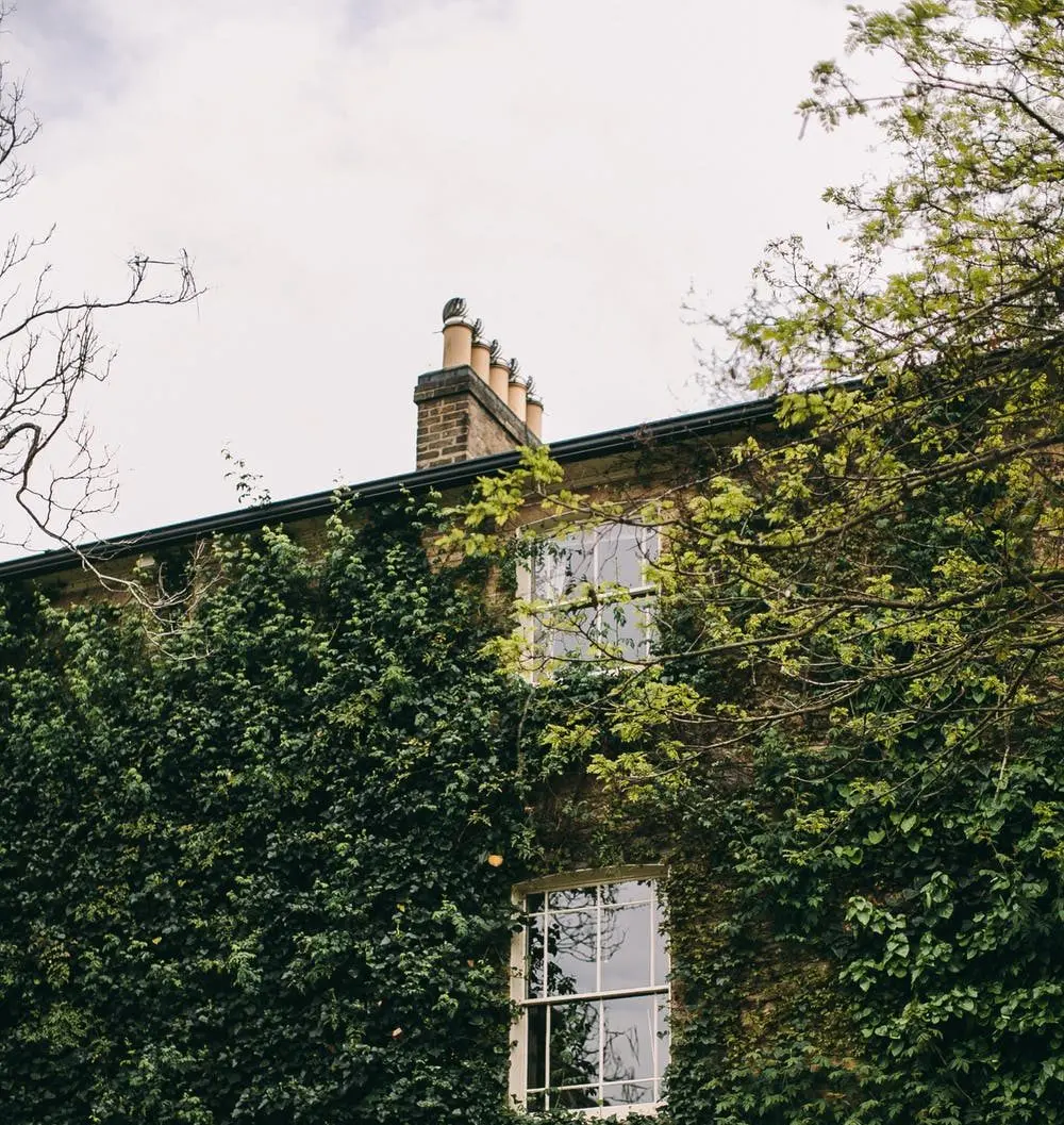 Illustrasjon — Halvpart murvilla grønne Frogner