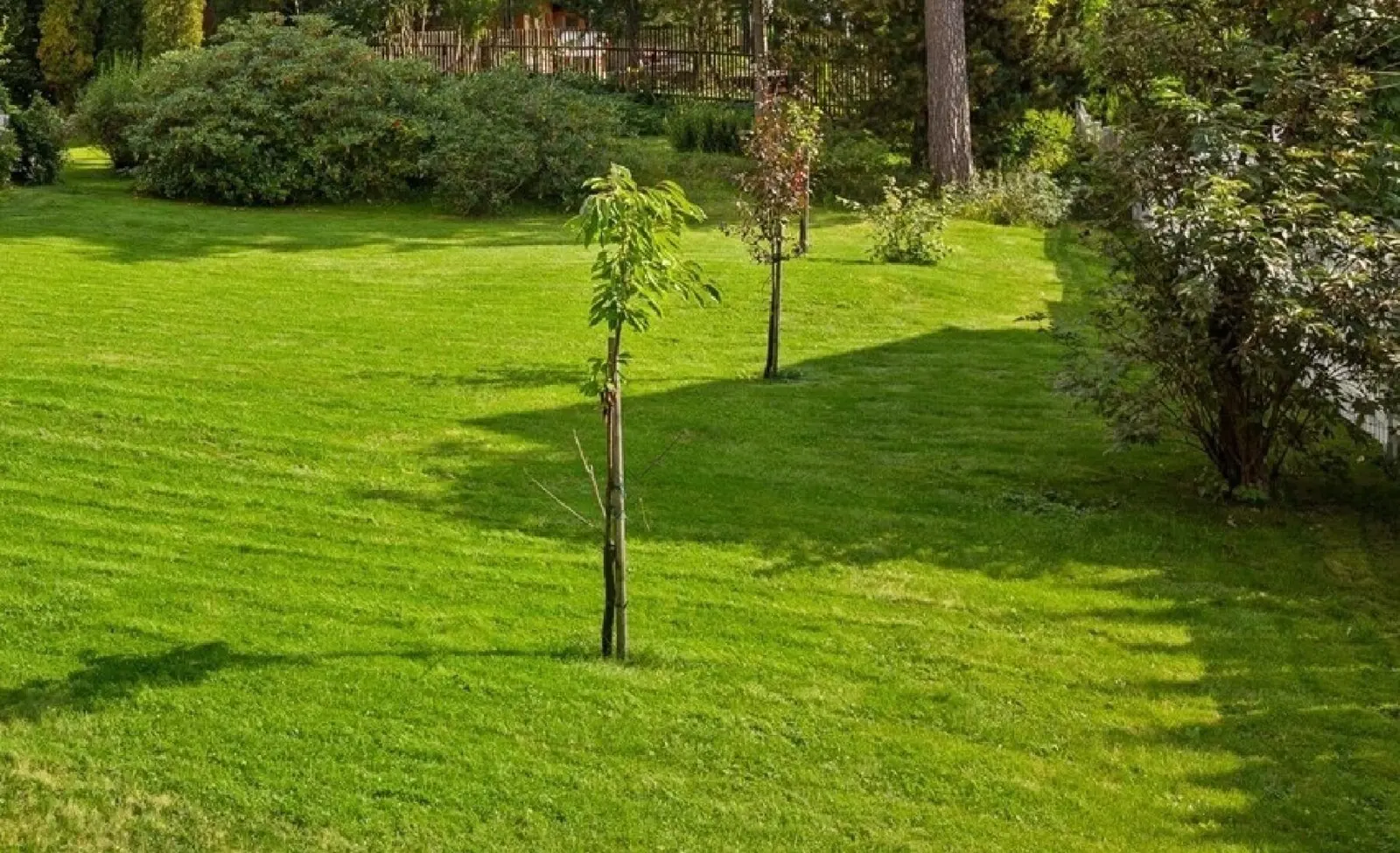 Illustrasjon — Romslig, klassisk herskapsvilla sentralt Slemdal med stor tomt